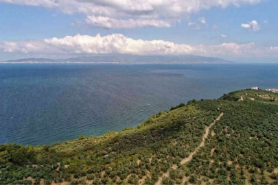 Bursa'daki 22 plajın su kalitesi iyi çıktı
