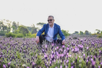 Karacabey’in doğa harikası longoz ormanları ziyaretçilerini bekliyor
