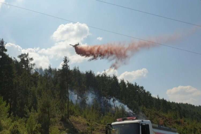Valilikten ormanlarda ateş yakma yasağı