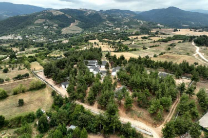 Sokak hayvanlarına yeni rehabilitasyon merkezi