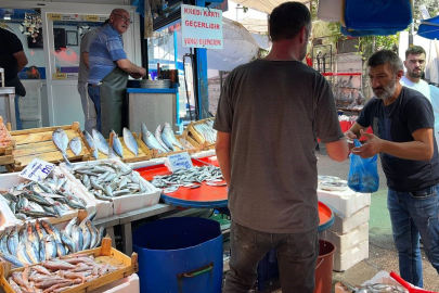 Marmara'da palamut bereketi