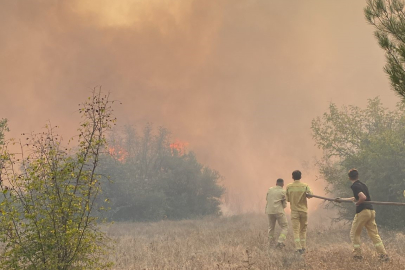 3 ilin sınırında korkutan orman yangını