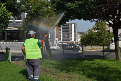 Yıldırım’da haşerelere karşı ilaçlama yapılıyor