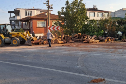 Kamyon viraja hızlı girdi, tomruklar yola saçıldı