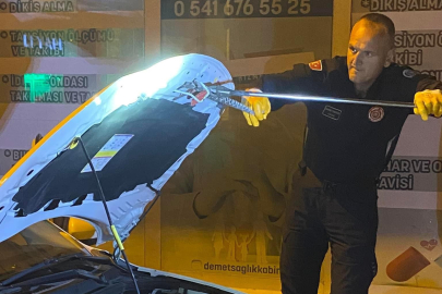 Karacabey'de aracın kaputundan yılan çıktı