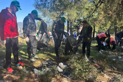 Ormanlarda sonbahar temizliği