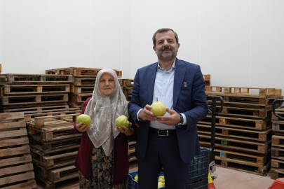 Çiftçi Hayriye Teyze armut ile girişimci oldu