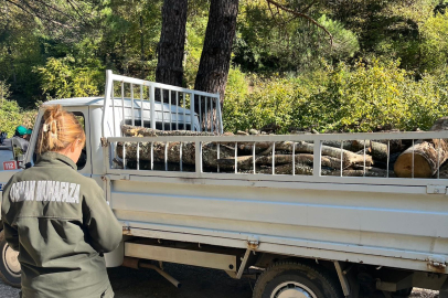 Ormanlarda mobil kontroller hızlandı
