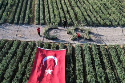 İznikli çiftçi zeytin fidanlarıyla Türk Bayrağı oluşturdu