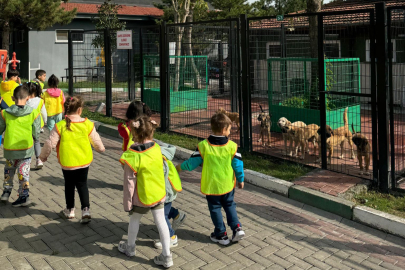 Çocuklardan can dostlara yoğun ziyaret