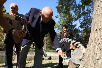 Hayvanat Bahçesi 26 yaşında