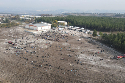 Uludağ Üniversitesi'nin yanan ormanlarına 10 bin fidan
