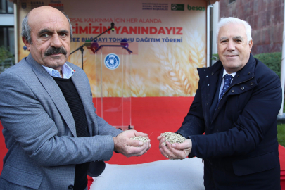 Büyükşehir'den çiftçilere siyez buğdayı tohumu