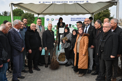 Büyükşehir Belediyesi'nden üreticiye fide ve fidan desteği