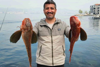 Amatör balıkçı toplam 6 buçuk kiloluk 2 balık yakaladı