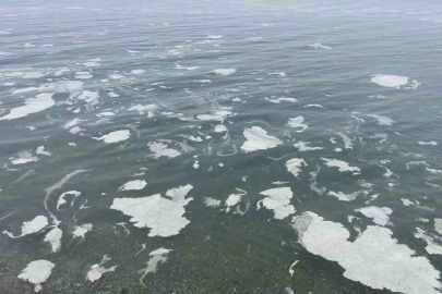Mudanya’yı müsilaj sardı, deniz beyaz tabakayla örtüldü