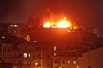 Kestel Kalesi'nde yangın çıktı