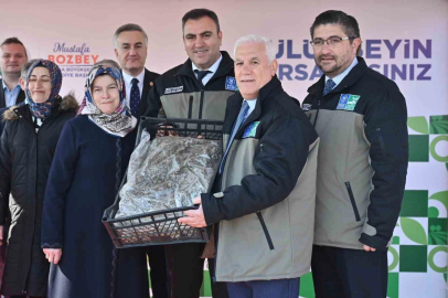 Çiftçiye 1 milyon 222 bin çilek fidesi hibe edildi