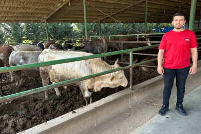 Kurbanlık fiyatlarında geçen yıla oranla büyük değişiklik yok