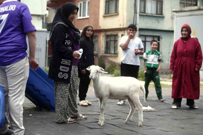 Kuzuya evlatları gibi bakıyorlar