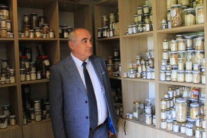 Nilüfer Belediyesinin de öncülerinden olduğu yerel tohum akımı büyüyor