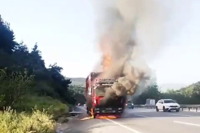 Hayvan yüklü kamyon alevlere teslim oldu