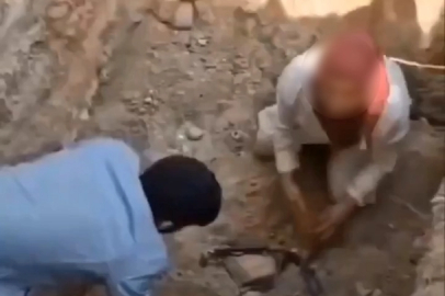 Ölen köpekleri mezardan çıkarmaya çalıştılar