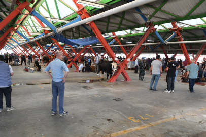 Osmangazililer kurban ibadetlerini hijyenik ortamlarda yerine getirdi