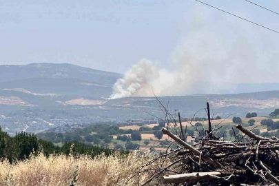 Kayapa'da orman yangını