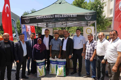 Dağ ilçelerine silajlık mısır tohumu desteği