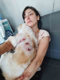Bursa’da kangal dehşeti...O anlar kamerada