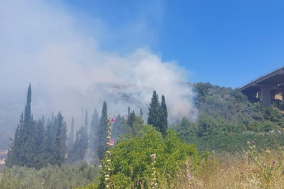 Bursa’da çam ormanı yanıyor