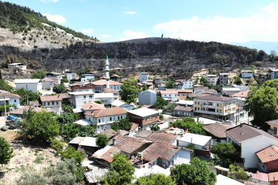 Zümrüt yeşili orman manzaraları kömürlüğe döndü