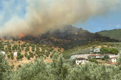 İznik’te büyük orman yangını