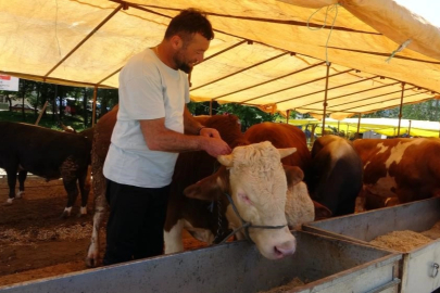 Ülke genelinde tüm hayvan pazarları kapatıldı