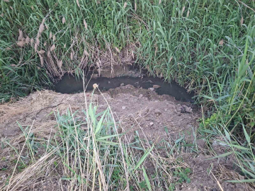 Dereye akan lağım suyu, mahalleliyi nefes alamaz hale getirdi