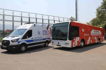 Büyükşehir, yangın bölgesindeki yaraları sarmaya başlıyor