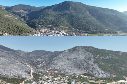 Yeşil Bursa’nın yemyeşil ormanları böyle karardı