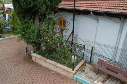Osmanlı’nın önemli aliminin kabri, yalnızlığa terk edildi