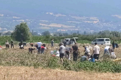Tarlasındaki patatesleri ücretsiz dağıttı