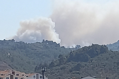 Gündoğdu'daki orman yangını kontrol altına alındı