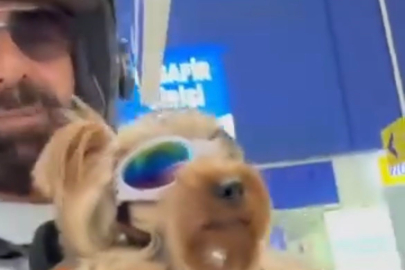 Köpeği ile markete alınmayan vatandaş isyan etti