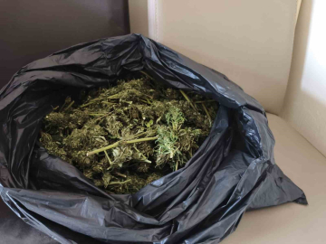 Güvercin kümesinde uyuşturucu ele geçirildi