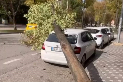 Bursa’da lodos: Otomobilin üzerine ağaç devrildi, o anlar kameraya yansıdı