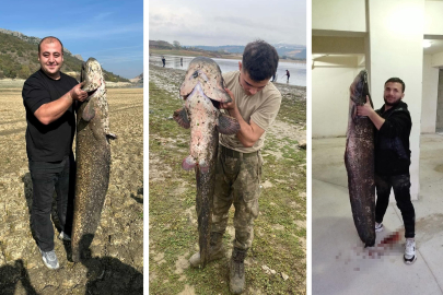 Kuruyan gölde yayın avı