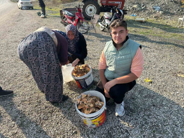 Okul harçlığını "kanlıca"dan çıkarıyor