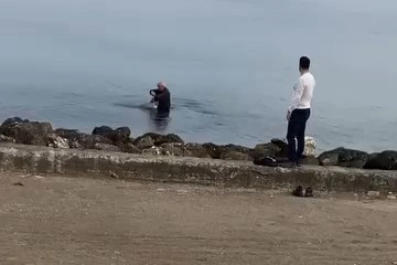 Mudanya sahilinde oltaya takılan martıyı vatandaş kurtardı