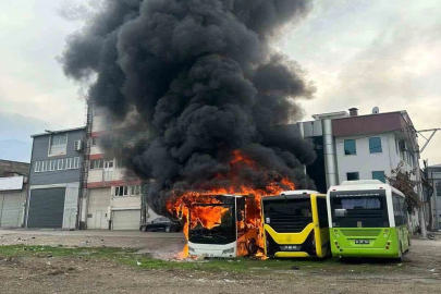 Park halindeki otobüsler cayır cayır yandı