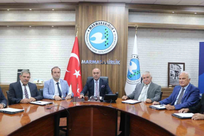 Zeytin üreticisine 622 milyon TL’lik ödeme