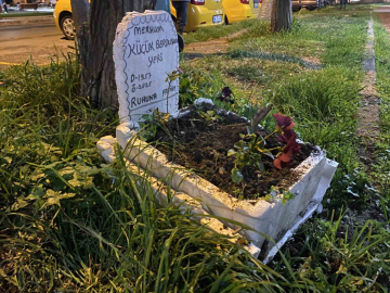 Taksicilerden vefa...Ölen muhabbet kuşları için mini mezar yaptılar